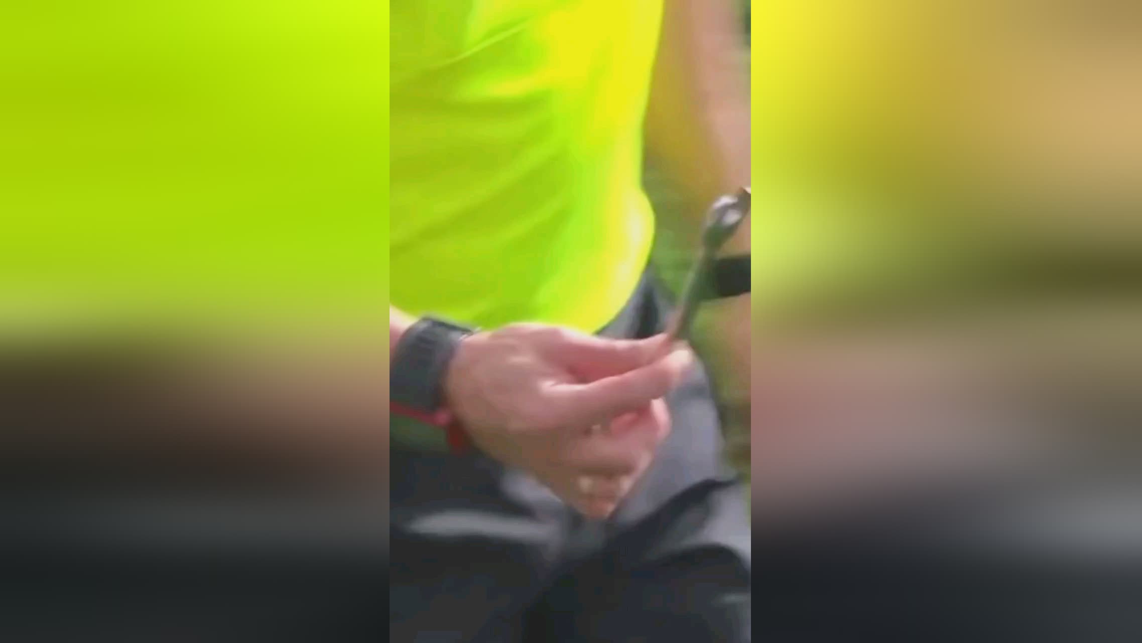 在预测如此
